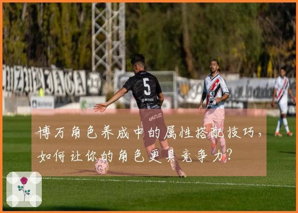 博万角色养成中的属性搭配技巧，如何让你的角色更具竞争力？